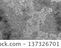 Abstract grey mottled texture resembling frosted glass or cloudy fog. 137326701