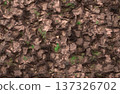 Rough brown rocky surface texture with deep crevices and patches of green moss. 137326702