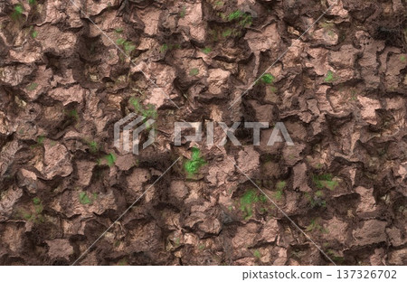 Rough brown rocky surface texture with deep crevices and patches of green moss. Rough brown rocky surface texture with deep crevices and patches of green moss. 137326702