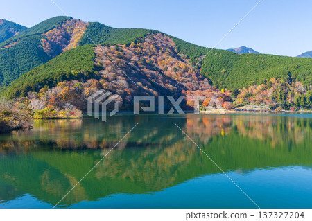 Autumn in Fujinomiya City, Shizuoka Prefecture - Lake Tanuki with autumn leaves Autumn in Fujinomiya City, Shizuoka Prefecture - Lake Tanuki with autumn leaves 137327204