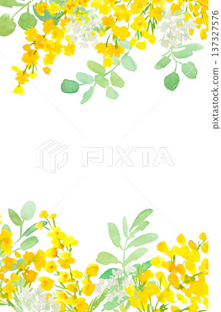 Watercolor mimosa and eucalyptus background illustration / Spring botanical frame 137327576