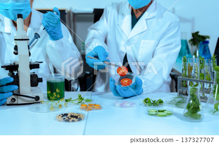 Eco laboratory microbiology. Sample in a Microscope and comparing a plant or herb in test tube or glassware. Natural product and organic cosmetic health care. 137327707