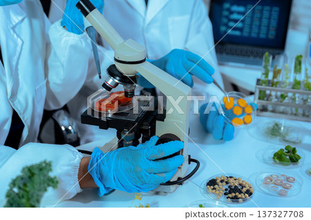 Eco laboratory microbiology. Sample in a Microscope and comparing a plant or herb in test tube or glassware. Natural product and organic cosmetic health care. 137327708