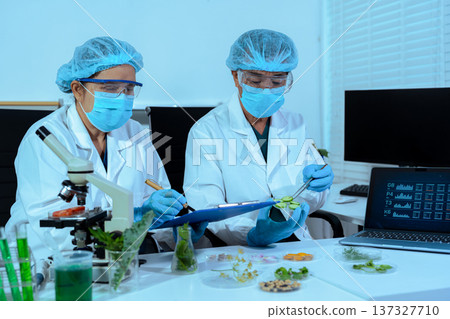 Eco laboratory microbiology. Sample in a Microscope and comparing a plant or herb in test tube or glassware. Natural product and organic cosmetic health care. 137327710