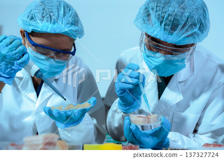 Control experts inspect the concentration of chemical residues. hazards, standard, find prohibited substances, contaminate. Control experts inspect the concentration of chemical residues. hazards, standard, find prohibited substances, contaminate. 137327724