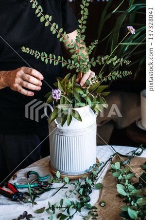 Hands arrange leafy stems and small purple flowers inside white fluted milk jug. farmhouse flowers chic, rustic florist, vintage milk jug, country-style home, pastoral aesthetic Hands arrange leafy stems and small purple flowers inside white fluted milk jug. farmhouse flowers chic, rustic florist, vintage milk jug, country-style home, pastoral aesthetic 137328041