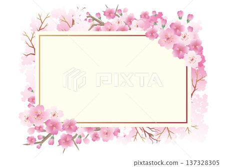 Spring cherry blossom frame background Spring cherry blossom frame background 137328305
