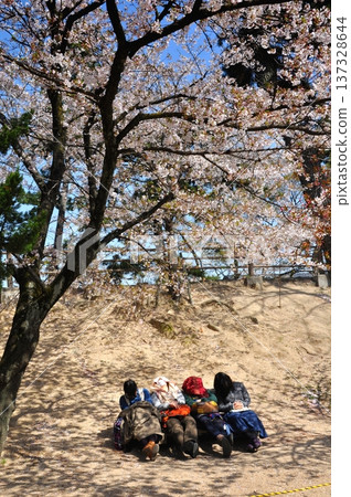 Hiyori Hanami 137328644