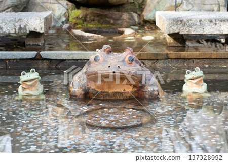 青蛙之愛 137328992