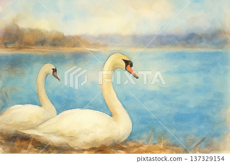 兩隻天鵝 137329154