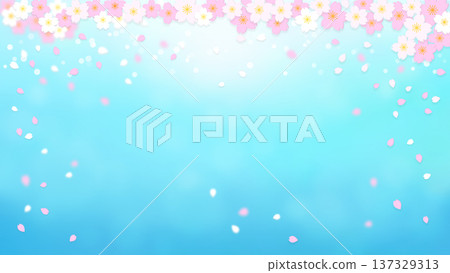 Spring image, background illustration of cherry blossoms and petals flying in the wind Spring image, background illustration of cherry blossoms and petals flying in the wind 137329313