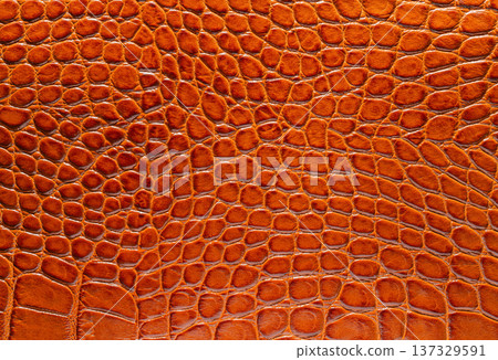 brown crocodile leather texture closeup 137329591
