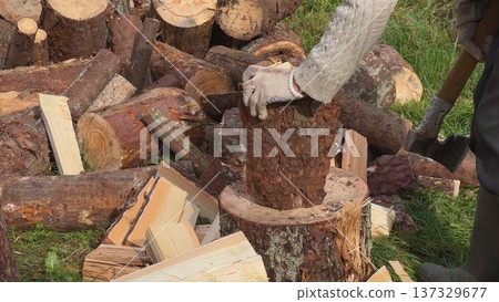 Lumberjack splitting firewood with axe in the forest 137329677