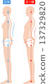 Woman with arched back and correct posture: spine and pelvis 137329820