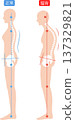 Hunchback and correct posture of a woman: spine and pelvis 137329821