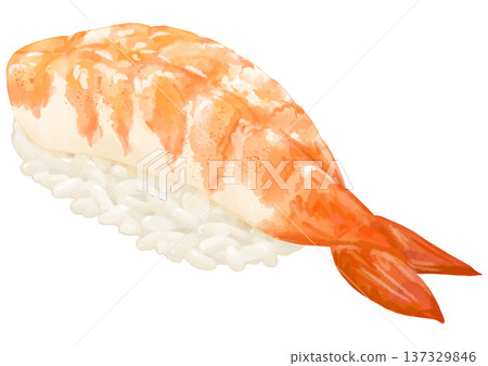 逼真的蝦壽司插圖 137329846