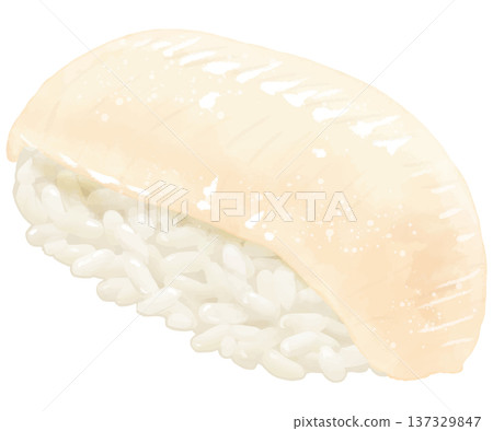 逼真的魷魚壽司插圖 逼真的魷魚壽司插圖 137329847