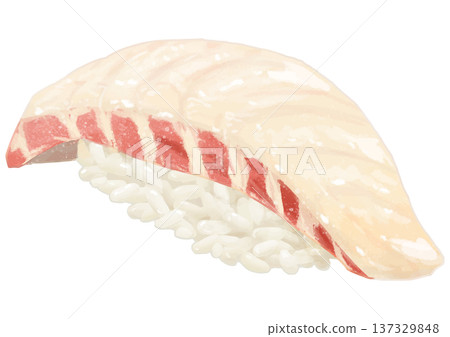 Realistic illustration of a sea bream sushi piece Realistic illustration of a sea bream sushi piece 137329848