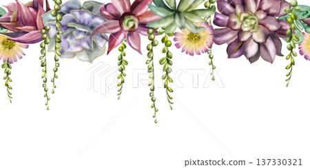 Rosette and trailing succulent vines with layered foliage, flowers. Isolated illustration hand drawn in watercolor. Seamless botanical banner for eco brand websites, modern interior design headers. Rosette and trailing succulent vines with layered foliage, flowers. Isolated illustration hand drawn in watercolor. Seamless botanical banner for eco brand websites, modern interior design headers. 137330321