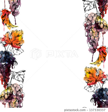 Ripe grape clusters hanging on vine with leaves, ink outline on wet watercolor bleed. Isolated illustration hand drawn for harvest festival retail branding, culinary publishing, wine shop graphics. 137330337