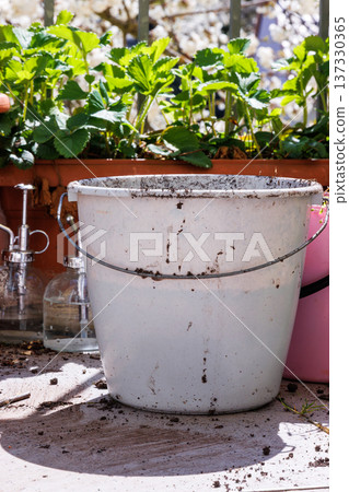 Sunlit balcony gardening scene with potted plants, containers, and a bucket during the process of replanting plants. Sunlit balcony gardening scene with potted plants, containers, and a bucket during the process of replanting plants. 137330365