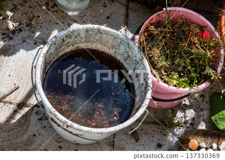 Top view of plastic buckets filled with soil, water, dirt and compost during the replanting process. Balcony gardening Top view of plastic buckets filled with soil, water, dirt and compost during the replanting process. Balcony gardening 137330369