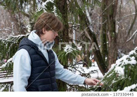 Man touching snow on branches in winter park. Outdoor Lifestyle Man touching snow on branches in winter park. Outdoor Lifestyle 137330445