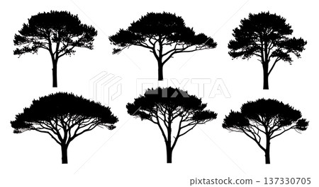 Black Solid Bushy Pine Tree Silhouettes Set of Six 137330705