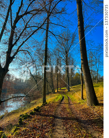 Scenic autumn park path with trees, Lake, and clear blue sky Scenic autumn park path with trees, Lake, and clear blue sky 137330735