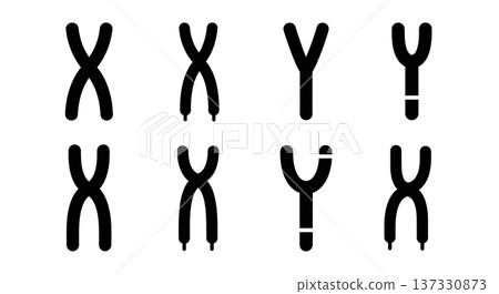 Black Solid Chromosome X and Y Silhouettes Set of Six on White Background 137330873
