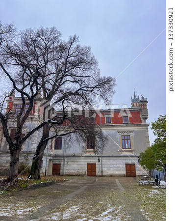 Historic building and trees in winter landscape on Dominican Square in Lublin Historic building and trees in winter landscape on Dominican Square in Lublin 137330921