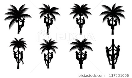 Black Solid Climbing Palm Harvest Silhouettes Set of Six on White Background Black Solid Climbing Palm Harvest Silhouettes Set of Six on White Background 137331006