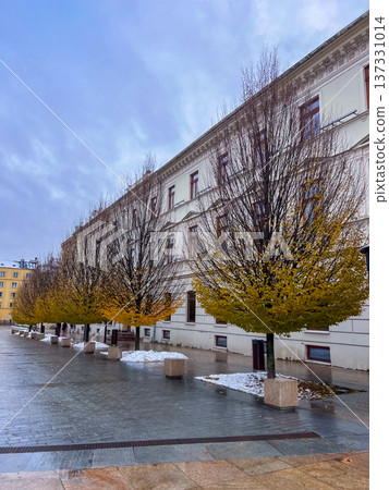 Autumn day with trees lining a street near a building in a city setting Autumn day with trees lining a street near a building in a city setting 137331014