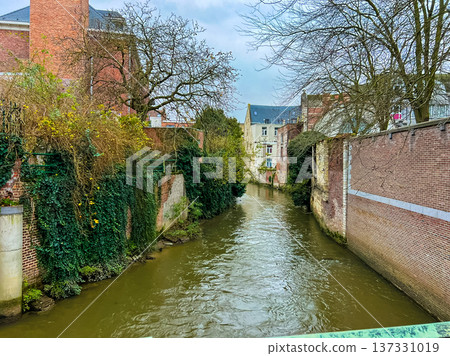 Scenic canal in Leuven framed by green hedges and historic red brick buildings 137331019