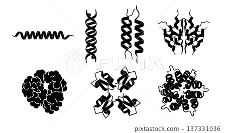 Black Solid Amino Acid Protein Silhouettes Set of Six on White Background 137331036