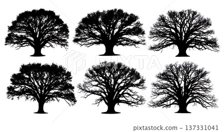 Black Solid Ancient Spreading Oak Tree Silhouettes Set of Six Black Solid Ancient Spreading Oak Tree Silhouettes Set of Six 137331041