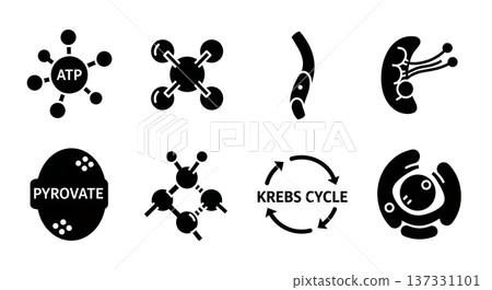 Black Solid ATP Energy Molecular Silhouettes Set of Six on White Background 137331101