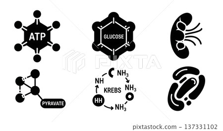 Black Solid ATP Energy Molecular Silhouettes Set of Six on White Background Black Solid ATP Energy Molecular Silhouettes Set of Six on White Background 137331102