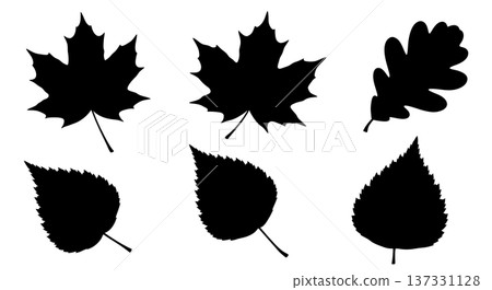 Black Solid Autumn Foliage Silhouettes Set of Six on White Background Black Solid Autumn Foliage Silhouettes Set of Six on White Background 137331128