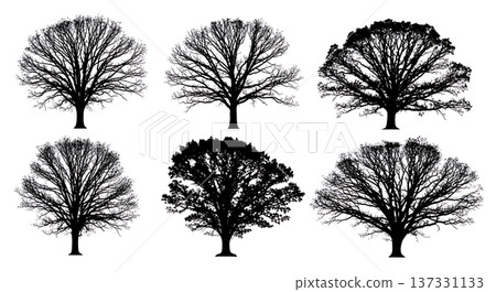 Black Solid Autumn Oak Tree Silhouettes Set of Six 137331133
