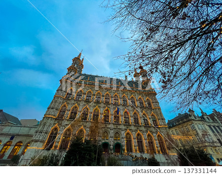 Historical european cityscape in Leuven, Belgium with flags and banners 137331144
