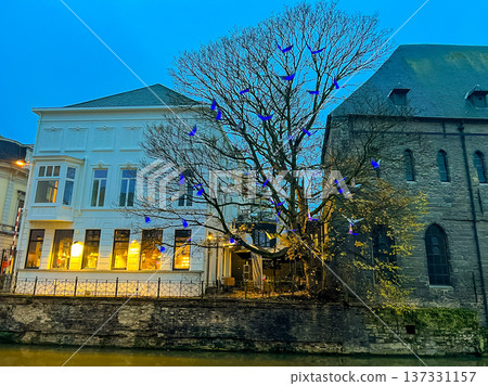 Enchanting evening scene: tree adorned with blue lights by riverbank in Ghent Enchanting evening scene: tree adorned with blue lights by riverbank in Ghent 137331157