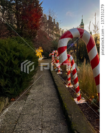 Colorful candy canes with lights line the path in a festive holiday setup 137331279