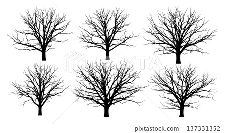 Black Solid Bare Winter Oak Tree Silhouettes Set of Six Black Solid Bare Winter Oak Tree Silhouettes Set of Six 137331352