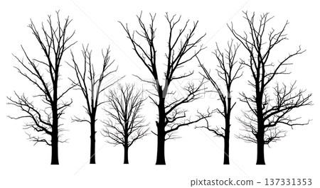 Black Solid Bare Winter Oak Tree Silhouettes Set of Six Black Solid Bare Winter Oak Tree Silhouettes Set of Six 137331353