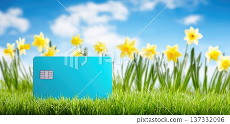 Credit card on fresh grass with blooming daffodils and blue sky Credit card on fresh grass with blooming daffodils and blue sky 137332096