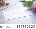 Message Card SORRY Carnation 137332325