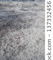 Vacant land 137332456