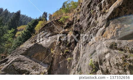 Beautiful Landscape With Mountains And Forest 137332656