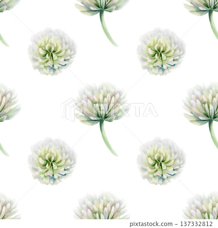 Clover white flower from vintage botanical guide,in watercolor seamless pattern.Hand drawn illustration for elegant bookplates,fine stationery design,classic botanical print collections and weddings 137332812